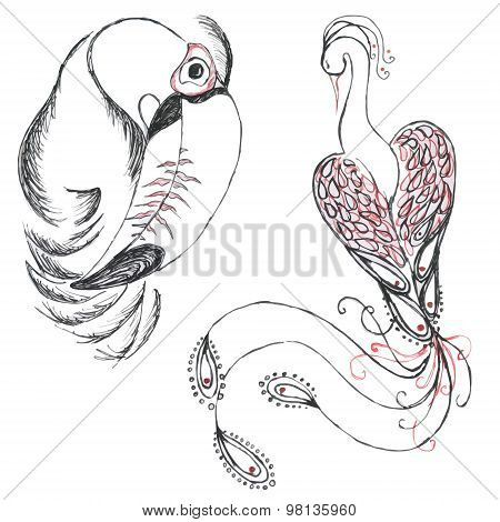 Birds (toucan And Firebird)
