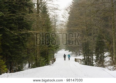 Couple Of Tourists On The Road