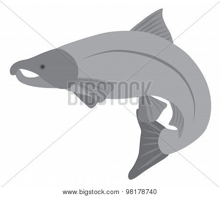Coho Salmon Grayscale Vector Illustration