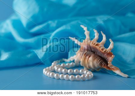 Pearl And Shell, Paua Shell And Pearl Ornaments On Blue Drapery