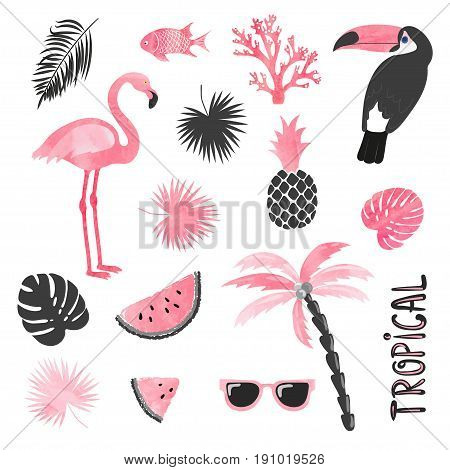 Tropical set in pink and black colors. Flamingo toucan watermelon palm leaves. Vector collection.