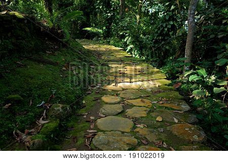 Stone paths leading to Ciudad Perdida (Lost City) in Colombia