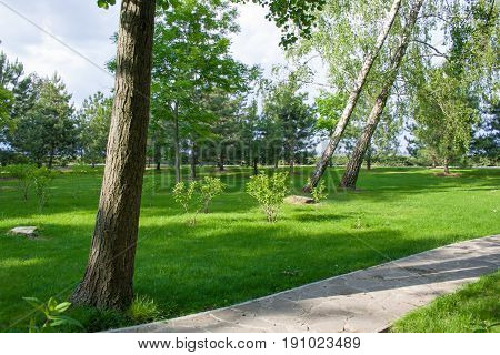 Scenic park with green grass trees and a path in summer. Mezhyhiria Ukraine