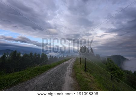 Mountain landscape shortly after spring rain. Slovenian Alps. Forest Road, venerable tree, fog, clouds and peaks. The village of Jamnik Slovenia.