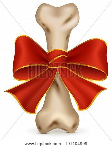 Bone for dog canine snack. Gift with red ribbon bow. Isolated on white vector cartoon illustration