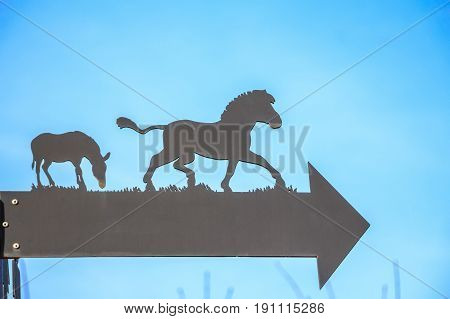 Closeup direction sign in zoo blak arrow and horse silhouettes on it with blue background