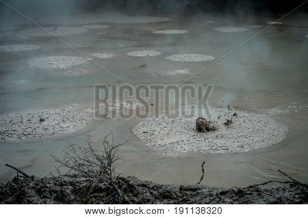 Bubbling Mud releasing Hydrogen Sulphide Gas. Geothermal Activity in Waitapu, New Zealand.