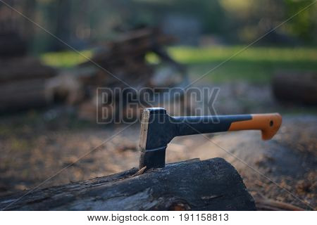 Chopping wood in the forest in details