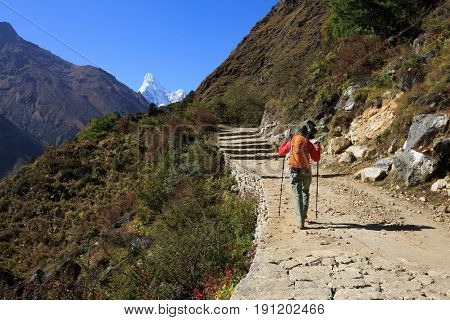 Young woman backpacker trekking at the himalaya mountains