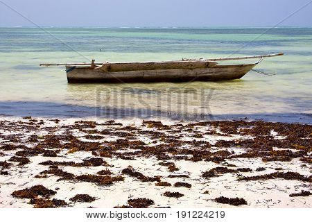 Relax  Of Zanzibar  Coastline Boat Pirague  The  Blue Lagoon
