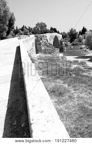 Near The River And Nature