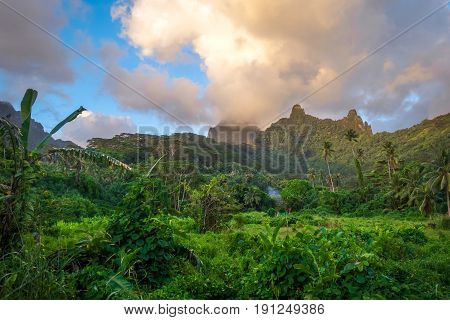 Moorea Island Jungle And Mountains Landscape