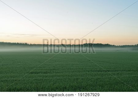 Early morning summer landscape in Finland .Green field with haze.