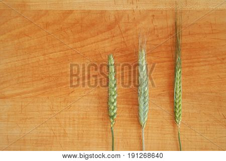 crop ears on wood: wheat rye barley