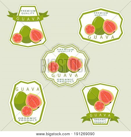 Vector illustration logo for whole ripe fruit red guava,cut half sliced close-up background. Guava drawing consisting of tag label,natural sweet food juice.Eat fresh raw organic exotic fruits guaves.