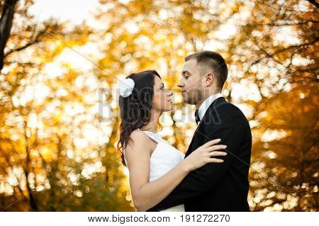 Groom Looks At A Bide Seriously Standing In The Autumn Park