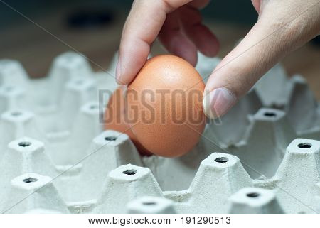 Hand picked eggs In an egg container To cook breakfast