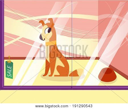 Illustration of a petshop with cheerful dog. Lovely cartoon dog in the showcase. Vector