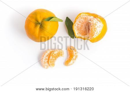 Brazilian Mexerica Pokan Or Tangerine