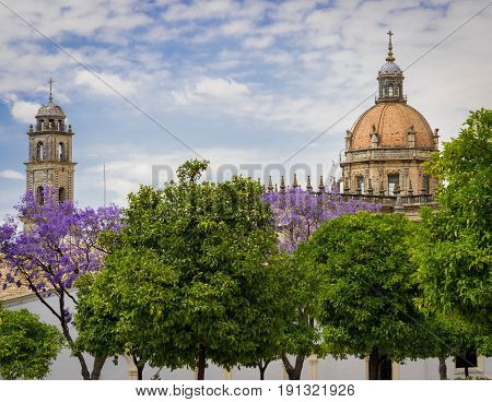 Catedral De San Salvador