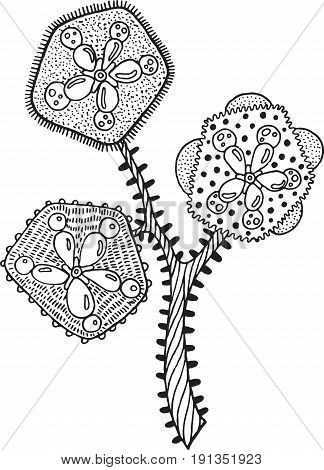 Tropical flower with branch berries and leaves - detailed coloring page for adults. Exotic floral vector isolated element. Hand drawn tribal boho and ethnic illustration in doodle and zentangle style.
