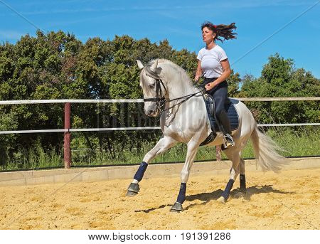 trianing of dressage for a riding girl and stallion