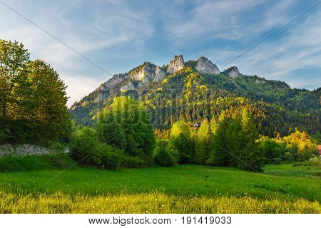 Spring In The Pieniny With Three Crowns Mountain In The Background