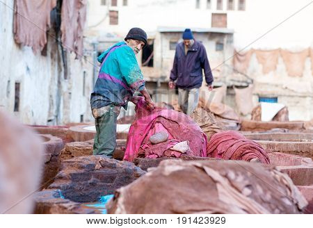 FEZ, MOROCCO - JANUARY 4, 2014: Men working hard in the tannery souk. The tannery souk of weavers is the most visited part of the 2000 years old city.