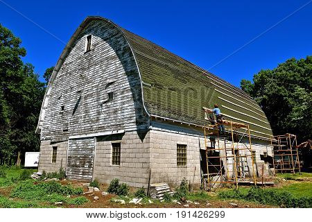 The first step in laying stringers  by an unidentified Amish laborer on an old barn for the covering of a metal roof.