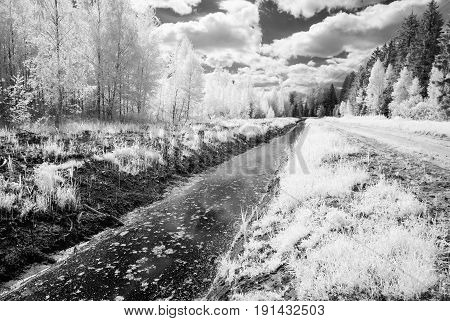 Countryside Fields In Summer. Infrared Image