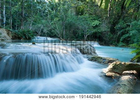Beautiful waterfalls in the forest. With big green tree