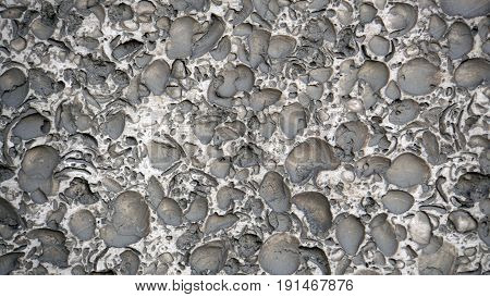 Fossiliferous limestone. Brick wall. Background and textures photography.