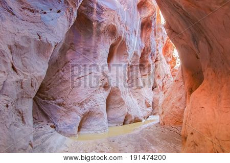 Inside of Buckskin Gulch Slot Canyon. Paria Canyon, Kanab, Utah, USA.