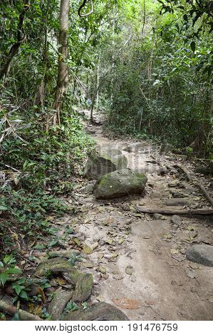 nature walkway in Khao Chamao , Rayong , Thailand