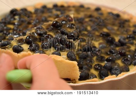 Close and macro view on the slice of blueberry Crostata being pulled from the pan