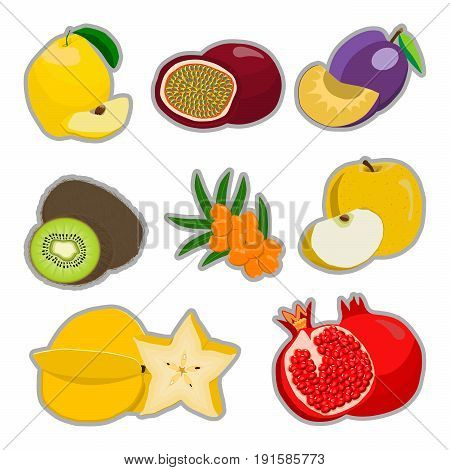 Abstract vector illustration logo for whole ripe fruit kiwi plum pomegranate cut sliced.