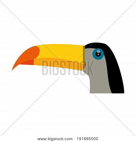 Wild tucan cartoon icon vector illustration graphic design