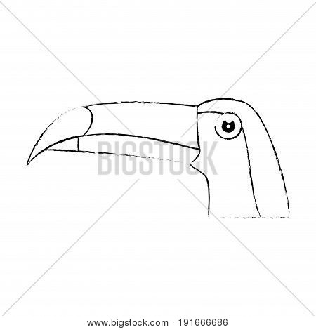 Wild tucan cartoon icon vector illustration graphic design