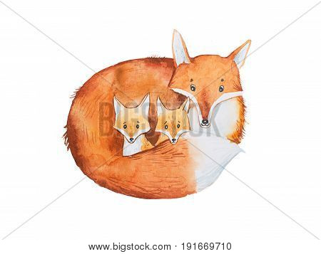 Drawing of cute fox family, mother and two fox-cubs.