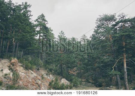 Mountain landscape. Beautiful cloudy moutainscape. Mountain scene. Serene scenery in wild nature. Misty mountain landscape. Mist in the forest. Misty mountains view in the early morning.