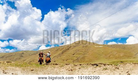 View on Horse Trekking in the mountains in China by Mount Yala