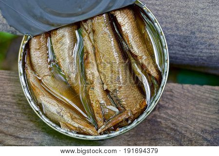 Sprats in an open can on wooden boards