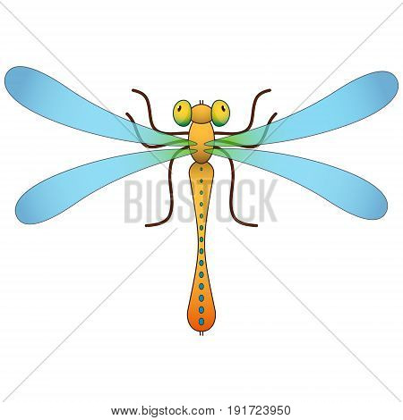 Dragonfly. Colored cartoon Isolated object Vector illustration