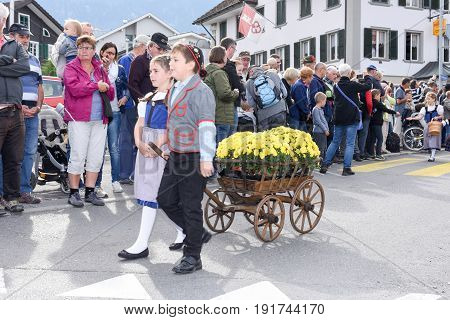 The Annual Rural Transhumance Parade Of Kerns