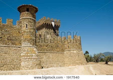 Château dans un vignoble