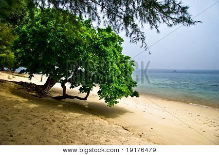 Sumuinen trooppinen ranta. Tioman island. Malesia