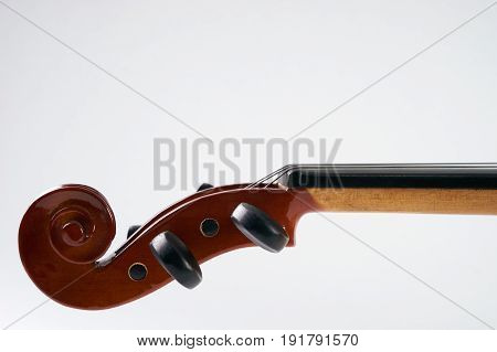Close-up details of Violin head isolated on white background with copy space. Cello scroll on headstock and tuning pegs.