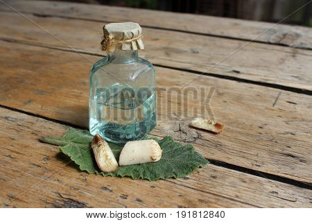 Cosmetic oil burdock with burdock root against background of boards