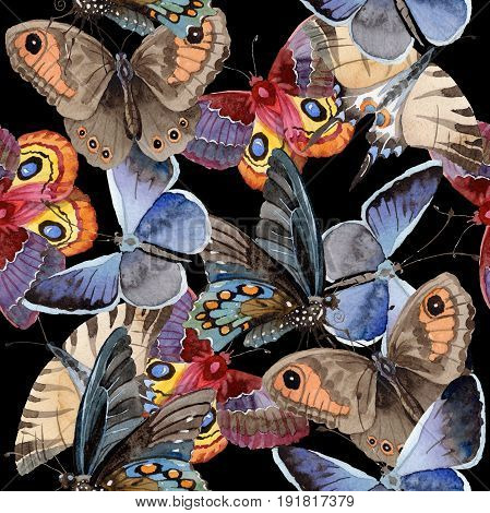 Watercolor butterfly pattern tender insect, intresting moth, isolated wing illustration. Butterfly names: swallowtail, monarch, queen. Aquarelle for background, wrapper pattern, frame or border.