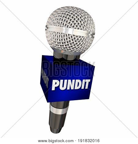 Pundit Expert Microphone Interview Show 3d Illustration